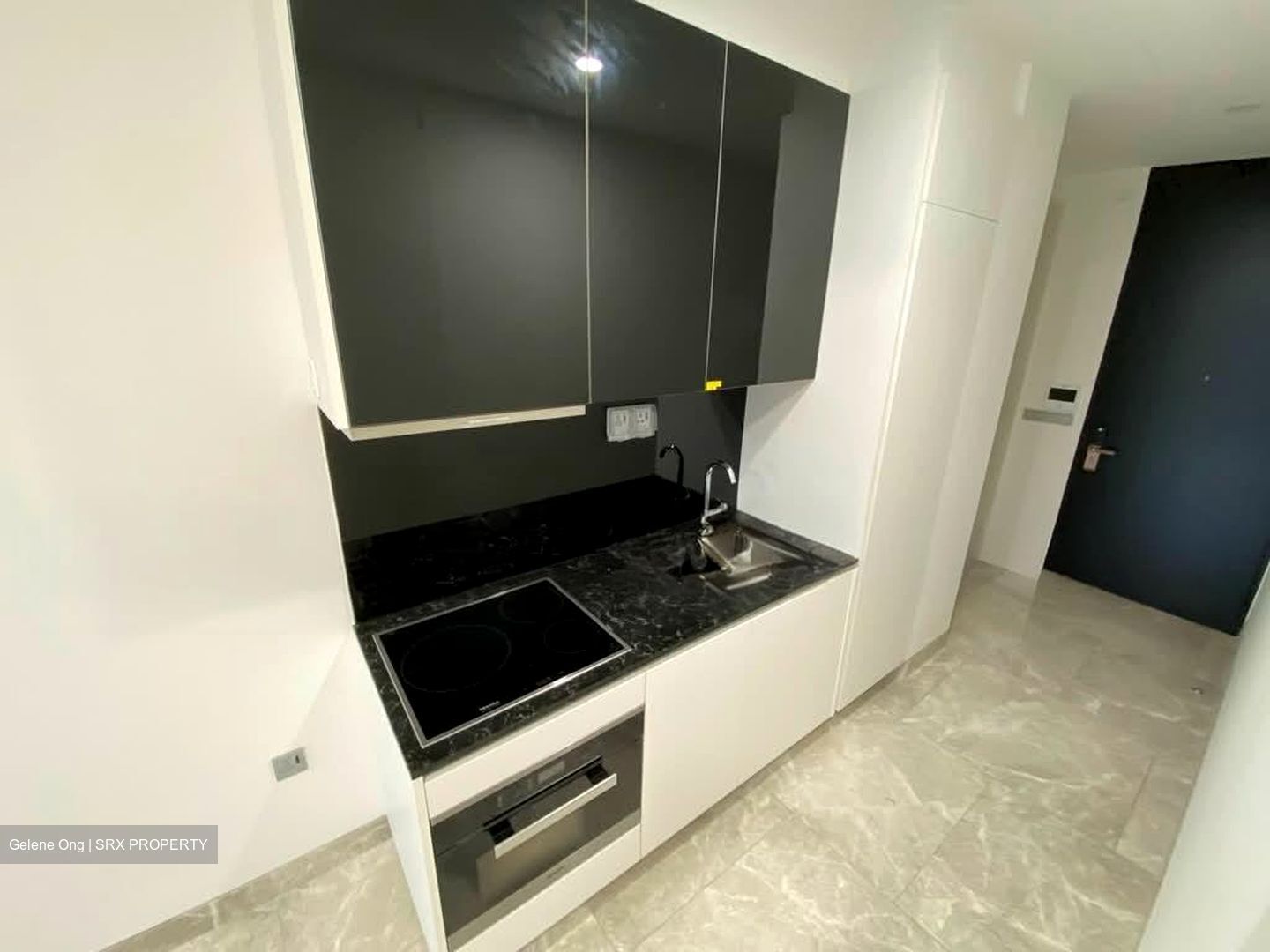 Martin Modern (D9), Condominium #559503101